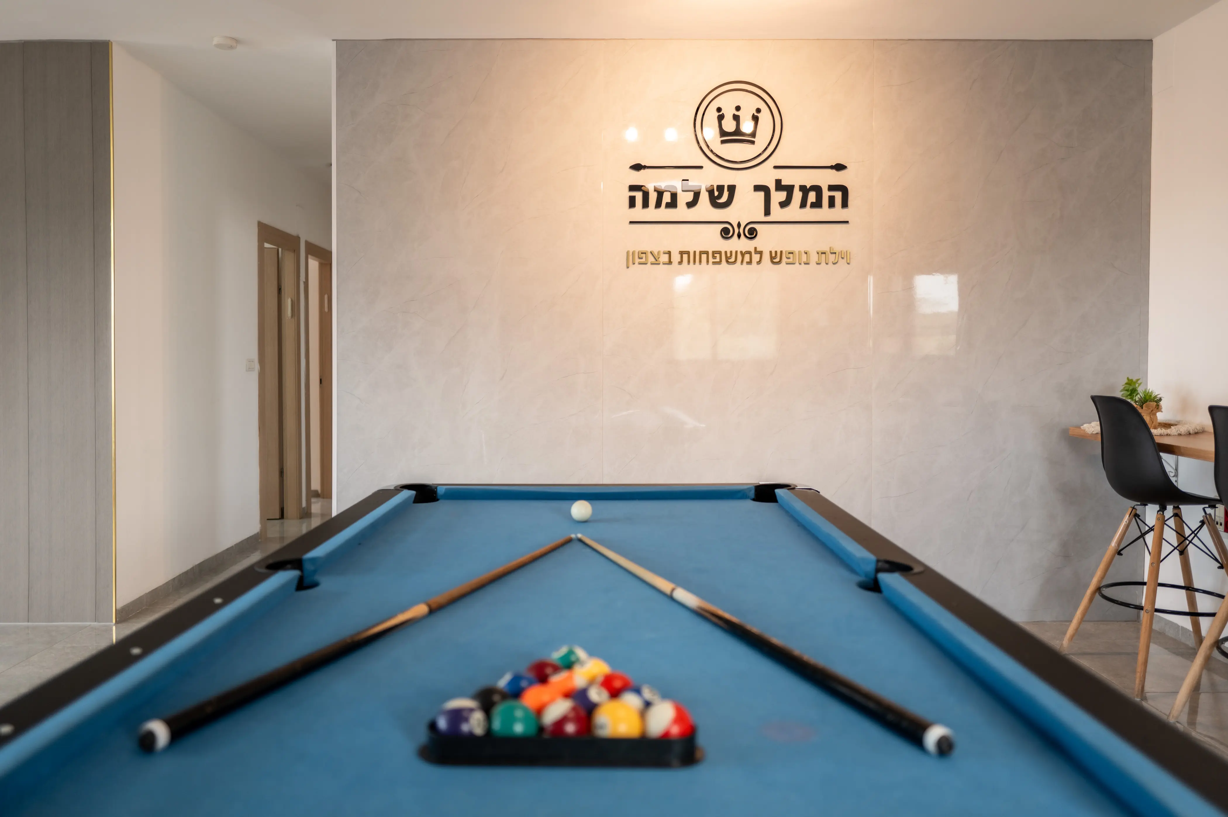 שולחן סנוקר מקצועי